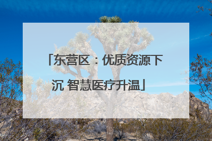 东营区：优质资源下沉 智慧医疗升温