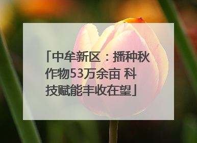 中牟新区：播种秋作物53万余亩 科技赋能丰收在望