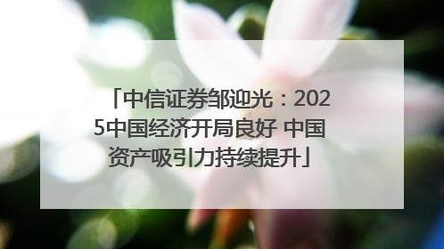 中信证券邹迎光：2025中国经济开局良好 中国资产吸引力持续提升