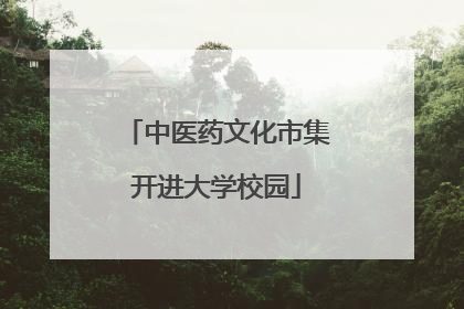 中医药文化市集开进大学校园