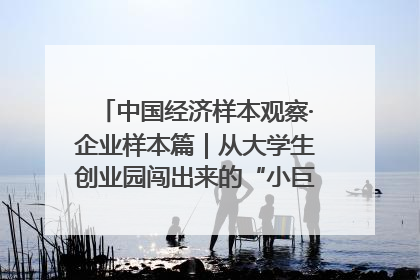 中国经济样本观察·企业样本篇｜从大学生创业园闯出来的“小巨人”——卡诺普机器人的逐梦历程