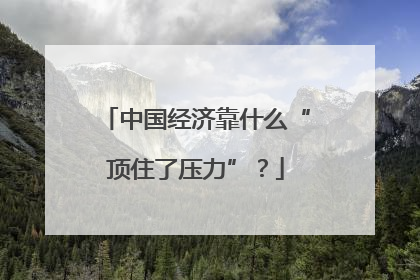中国经济靠什么“顶住了压力”？