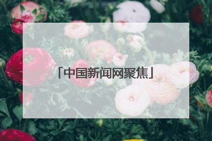 中国新闻网聚焦
