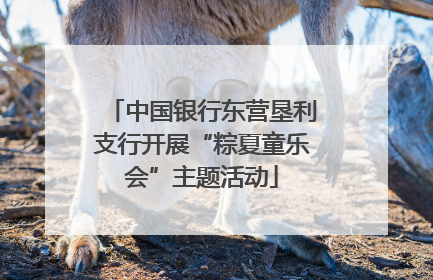 中国银行东营垦利支行开展“粽夏童乐会”主题活动
