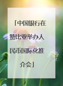 中国银行在赞比亚举办人民币国际化推介会