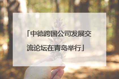 中德跨国公司发展交流论坛在青岛举行