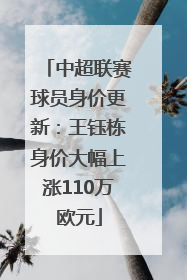 中超联赛球员身价更新：王钰栋身价大幅上涨110万欧元
