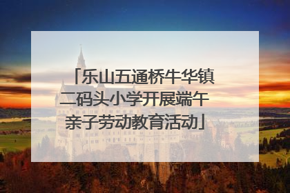 乐山五通桥牛华镇二码头小学开展端午亲子劳动教育活动