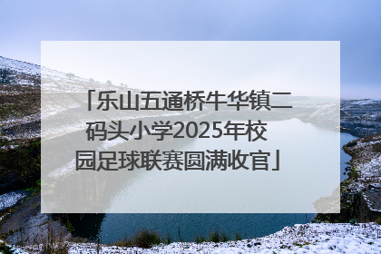 乐山五通桥牛华镇二码头小学2025年校园足球联赛圆满收官