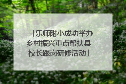 乐师附小成功举办乡村振兴重点帮扶县校长跟岗研修活动