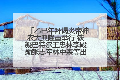 乙巳年拜谒炎帝神农大典隆重举行 铁凝巴特尔王忠林李殿勋张志军林中森等出席 孙伟主持