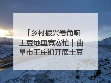 乡村振兴号角响 土豆地里竞赛忙｜曲阜市王庄镇开展土豆收获劳动竞赛