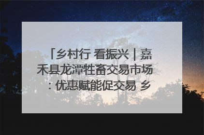 乡村行 看振兴｜嘉禾县龙潭牲畜交易市场：优惠赋能促交易 乡村振兴添动能