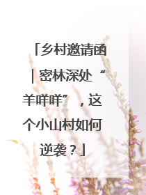 乡村邀请函｜密林深处“羊咩咩”，这个小山村如何逆袭？