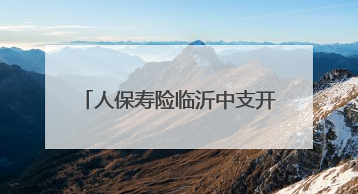 人保寿险临沂中支开展2025年信访工作法制化宣传月活动