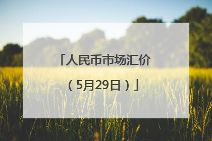 人民币市场汇价（5月29日）