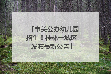 事关公办幼儿园招生！桂林一城区发布最新公告