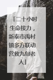 二十小时生命接力，新泰市禹村镇多方联动营救九旬老人
