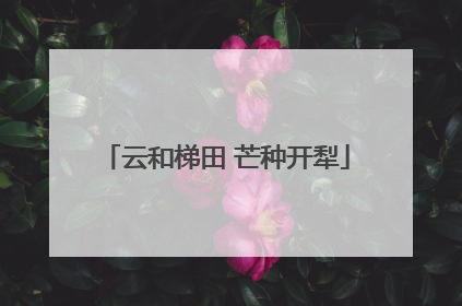云和梯田 芒种开犁