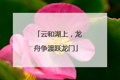云和湖上，龙舟争渡跃龙门