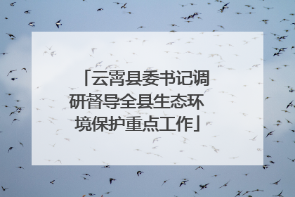 云霄县委书记调研督导全县生态环境保护重点工作