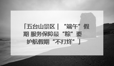 五台山景区｜“端午”假期 服务保障最“粽”要 护航假期“不打烊”