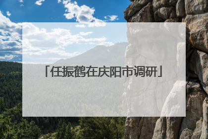 任振鹤在庆阳市调研