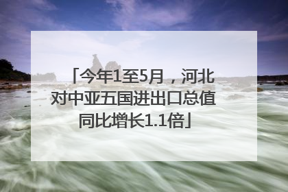 今年1至5月，河北对中亚五国进出口总值同比增长1.1倍