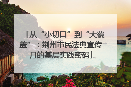 从“小切口”到“大覆盖”：荆州市民法典宣传月的基层实践密码