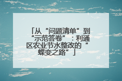 从“问题清单”到“示范答卷”：利通区农业节水整改的“蝶变之路”