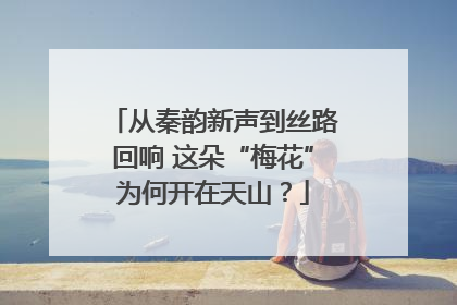 从秦韵新声到丝路回响 这朵“梅花”为何开在天山？