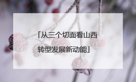 从三个切面看山西转型发展新动能