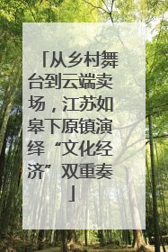 从乡村舞台到云端卖场，江苏如皋下原镇演绎“文化经济”双重奏