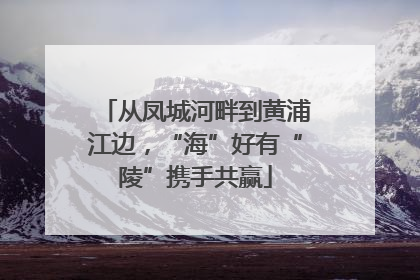 从凤城河畔到黄浦江边，“海”好有“陵”携手共赢