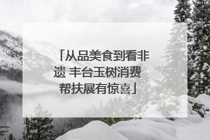 从品美食到看非遗 丰台玉树消费帮扶展有惊喜