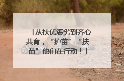 从扶优惩劣到齐心共育，“护苗”“扶苗”他们在行动！