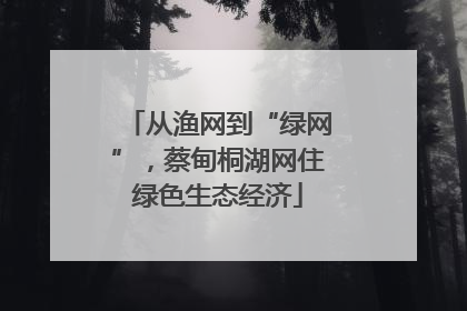 从渔网到“绿网”，蔡甸桐湖网住绿色生态经济