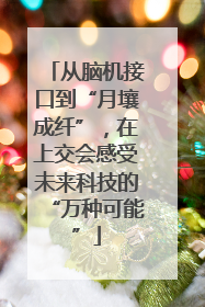 从脑机接口到“月壤成纤”，在上交会感受未来科技的“万种可能”