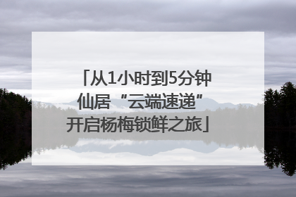 从1小时到5分钟 仙居“云端速递”开启杨梅锁鲜之旅