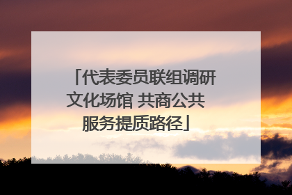 代表委员联组调研文化场馆 共商公共服务提质路径