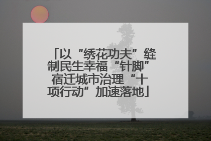 以“绣花功夫”缝制民生幸福“针脚” 宿迁城市治理“十项行动”加速落地