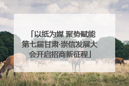 以纸为媒 聚势赋能 第七届甘肃·崇信发展大会开启招商新征程