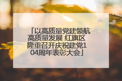 以高质量党建领航高质量发展 红旗区隆重召开庆祝建党104周年表彰大会