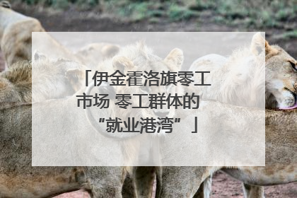 伊金霍洛旗零工市场 零工群体的“就业港湾”