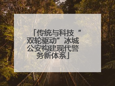 传统与科技“双轮驱动”冰城公安构建现代警务新体系