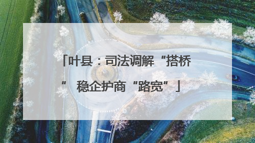 叶县：司法调解“搭桥” 稳企护商“路宽”