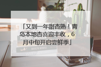 又到一年甜杏熟！青岛本地杏喜迎丰收，6月中旬开启尝鲜季