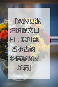 双牌县泷泊镇观文口村：粽叶飘香承古韵 乡情凝聚展新篇