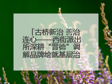 古桥新治 善治连心——西街派出所深耕“晋德”调解品牌绘就基层治理新画卷