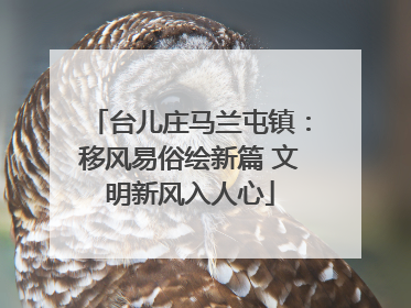 台儿庄马兰屯镇：移风易俗绘新篇 文明新风入人心